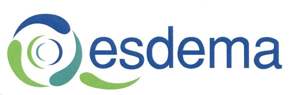 PT Esdema Mandiri logo